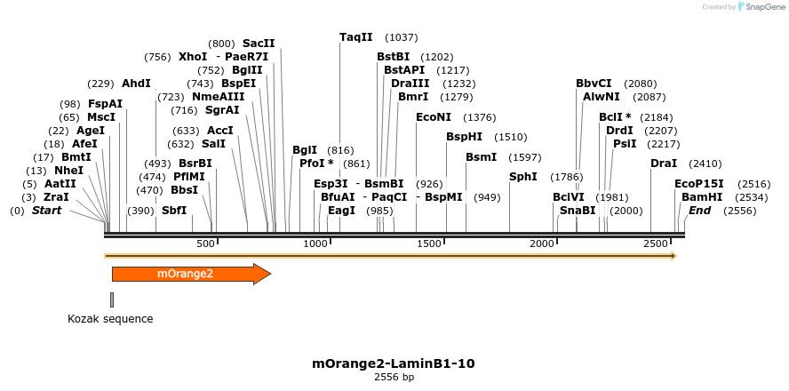 89114_map