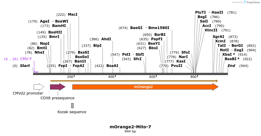 89117_map