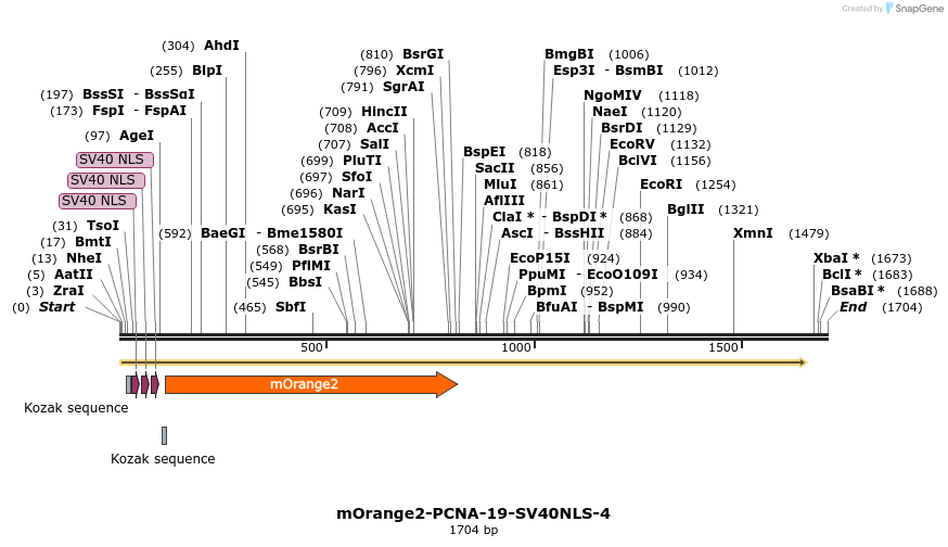 89119_map