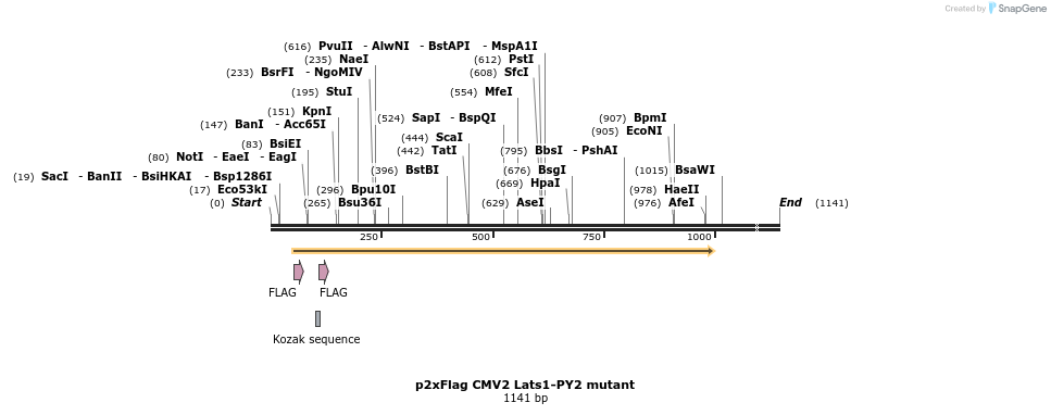 8912_map