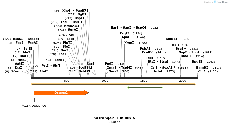 89122_map
