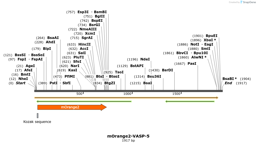 89123_map
