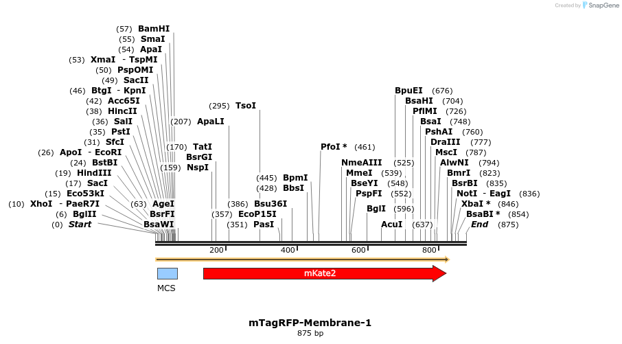 89141_map