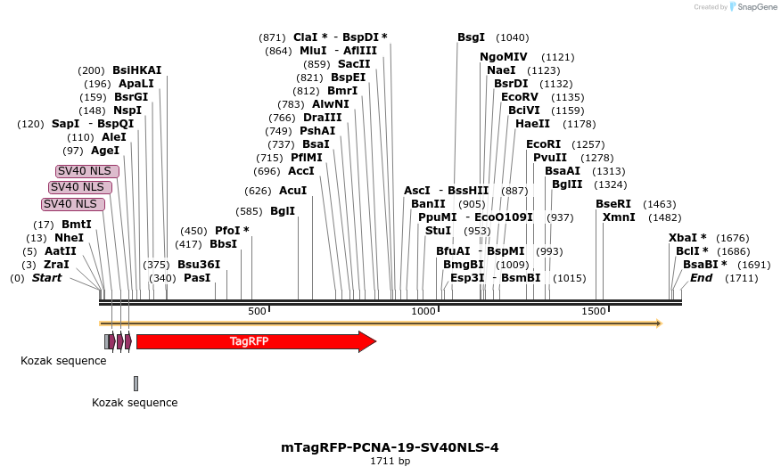 89144_map