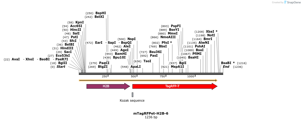 89150_map