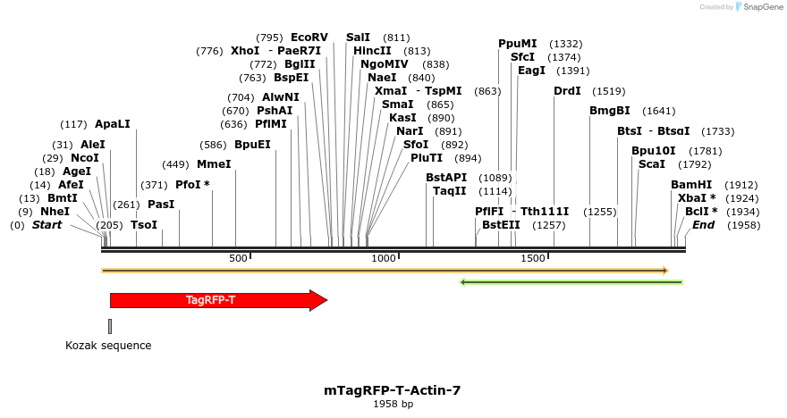 89151_map