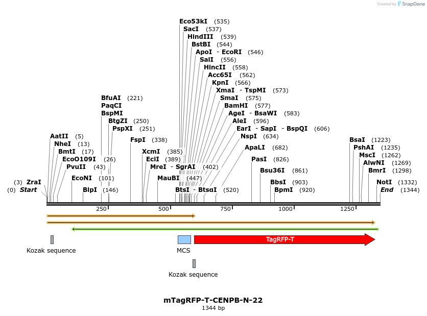 89154_map