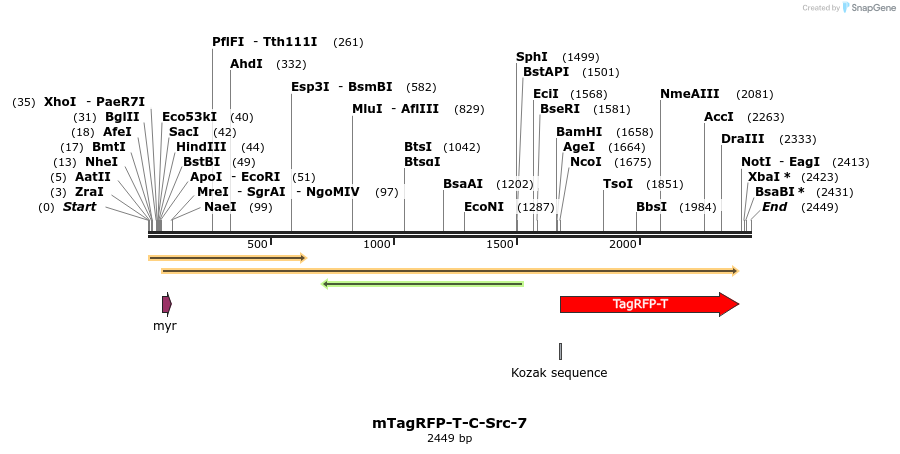 89156_map