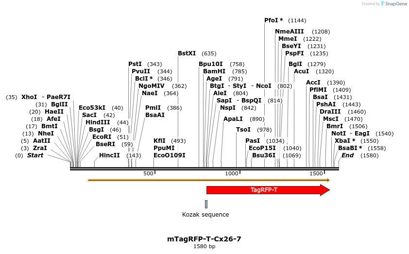 89157_map