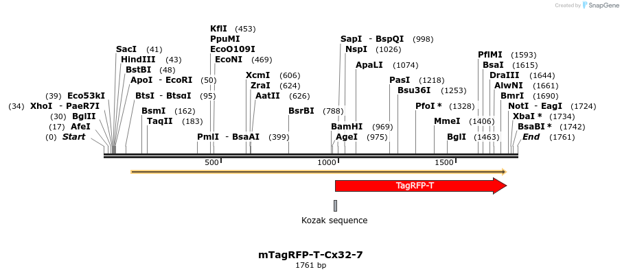 89158_map
