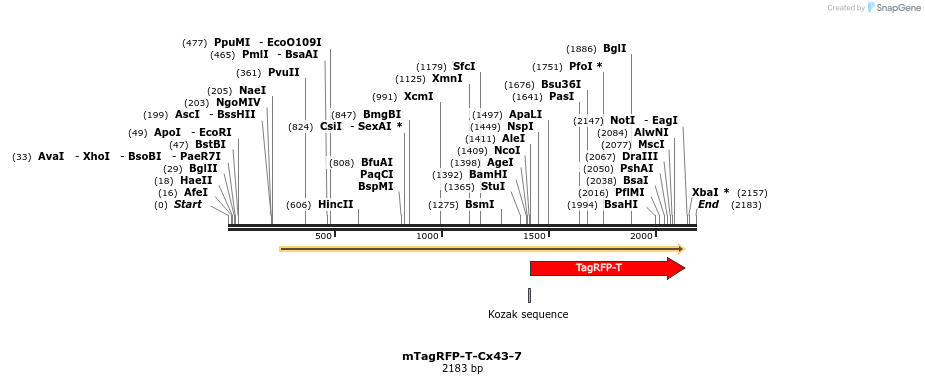 89159_map