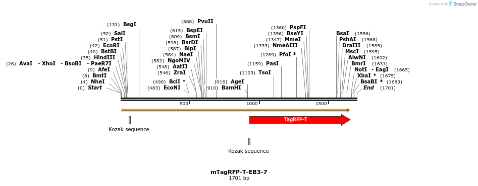 89161_map