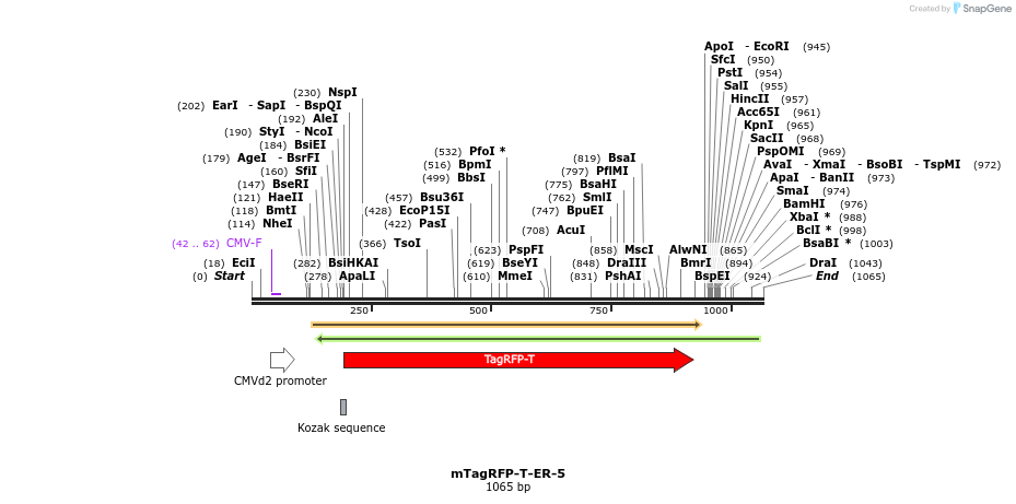 89162_map