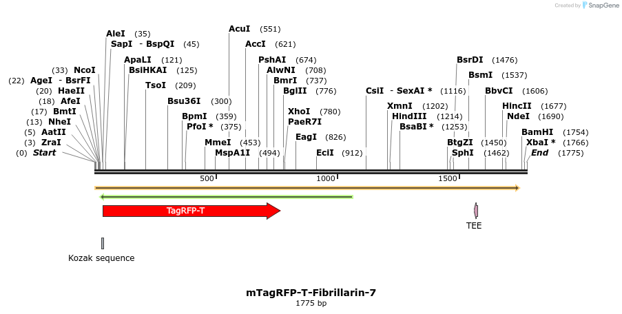 89165_map