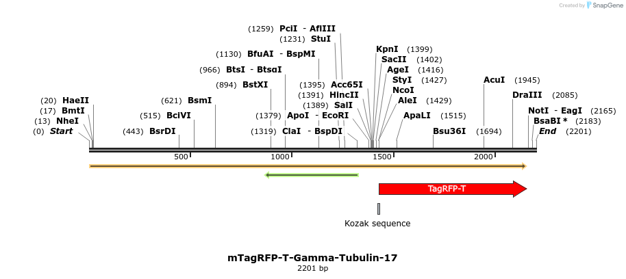 89166_map