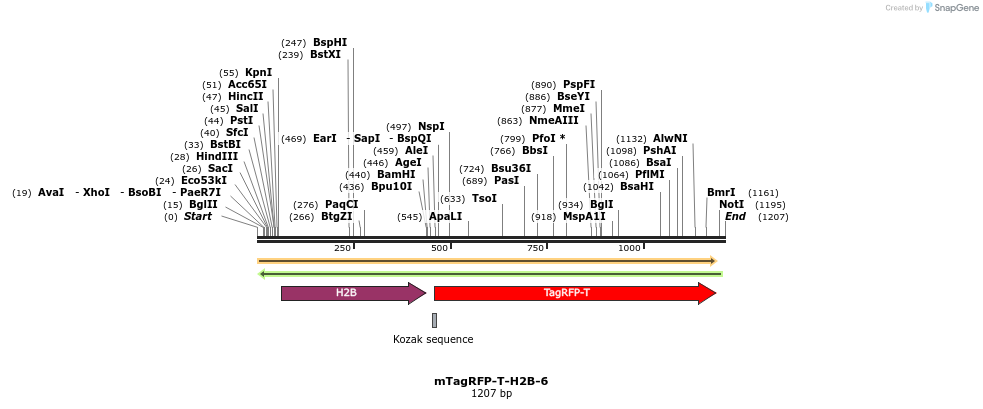 89168_map