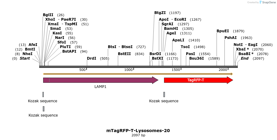 89171_map
