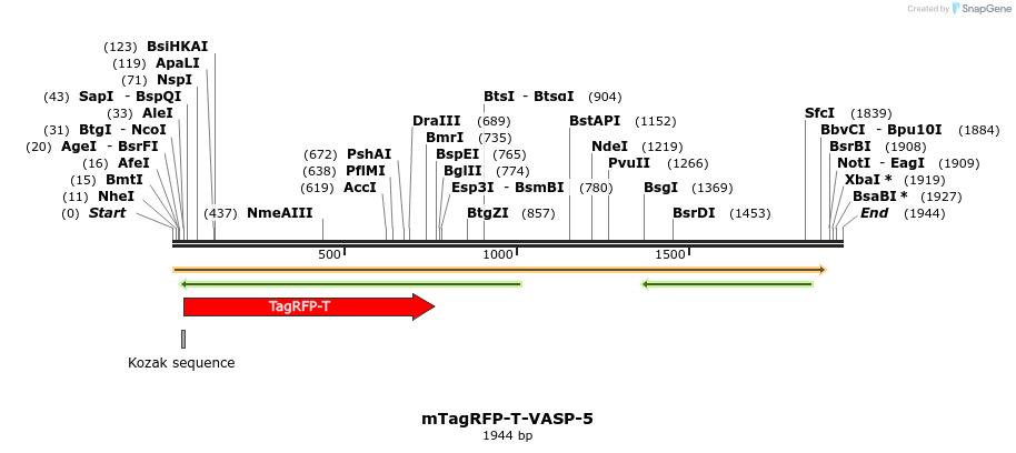 89177_map