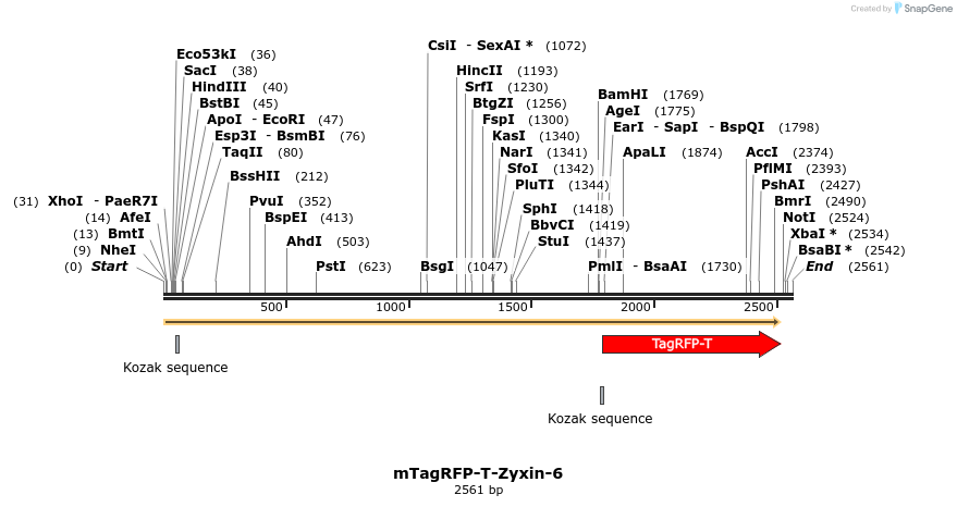 89181_map
