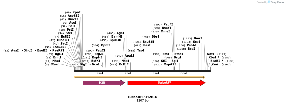 89183_map