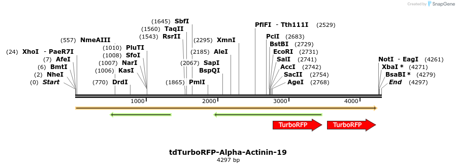 89186_map