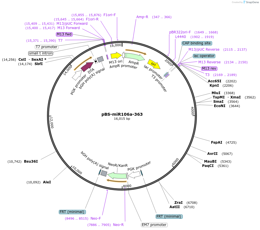 8919_map