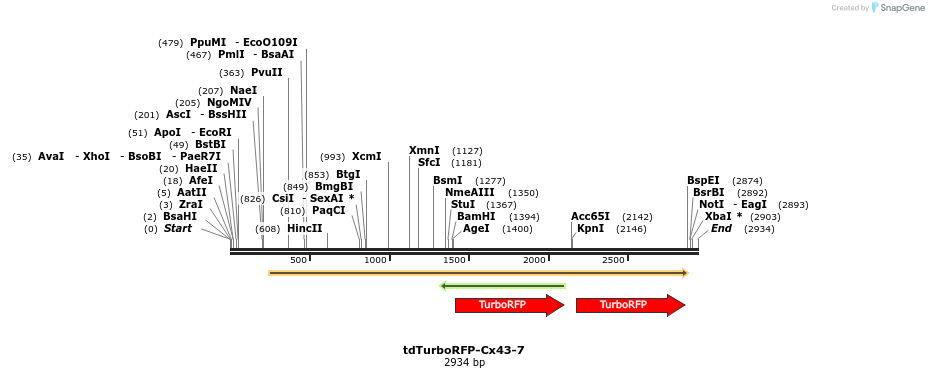 89190_map
