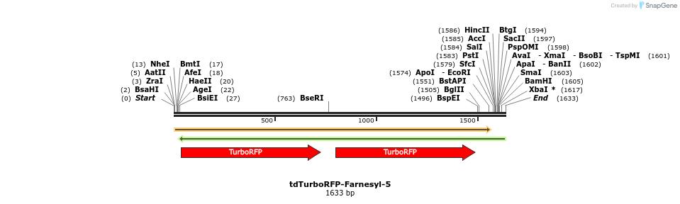 89193_map
