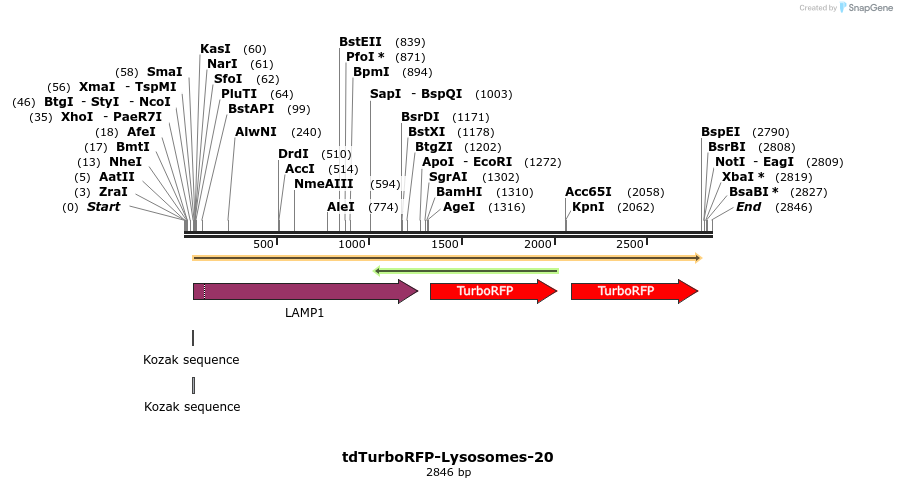 89197_map