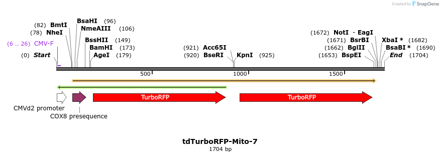 89198_map