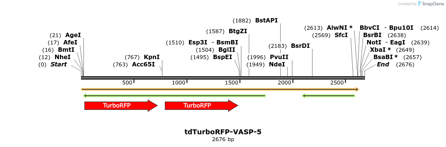 89200_map