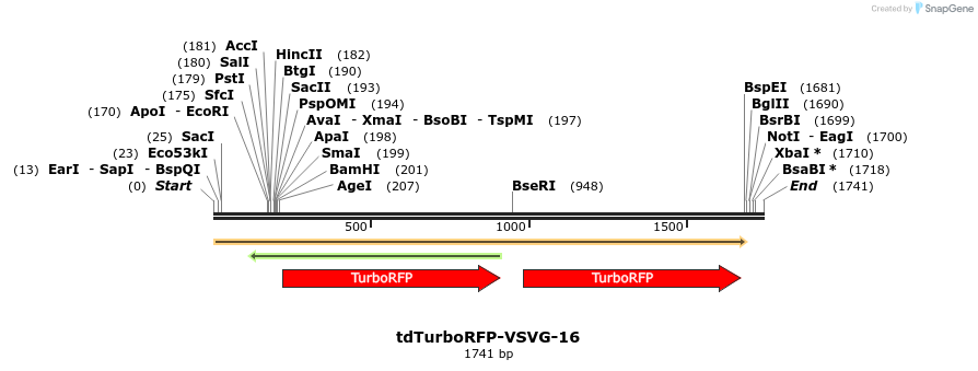 89203_map