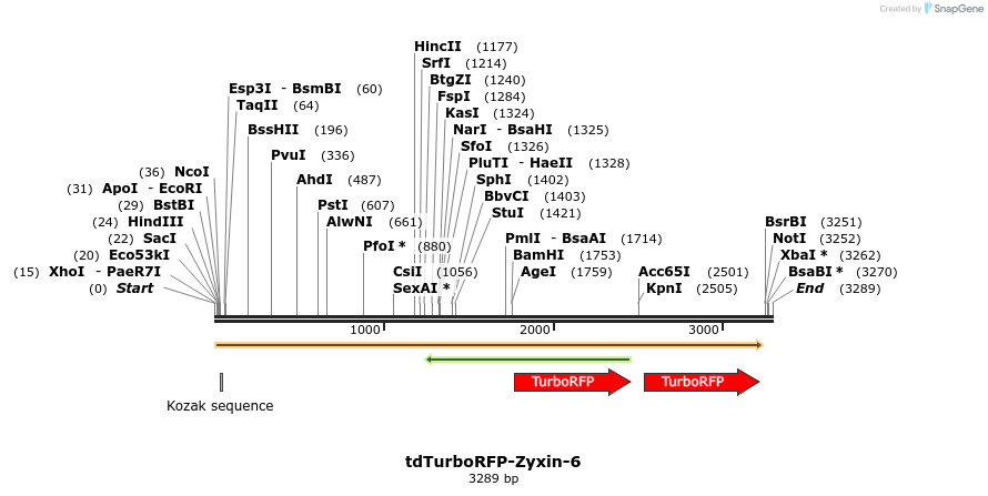 89204_map