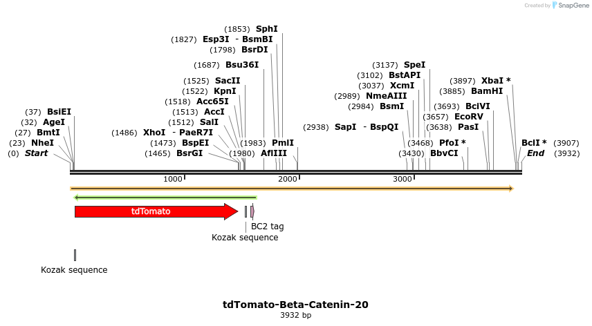 89208_map
