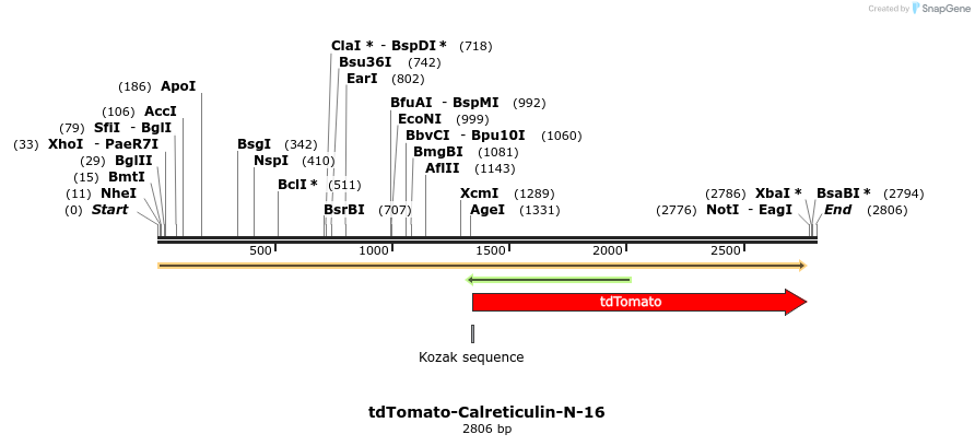 89211_map