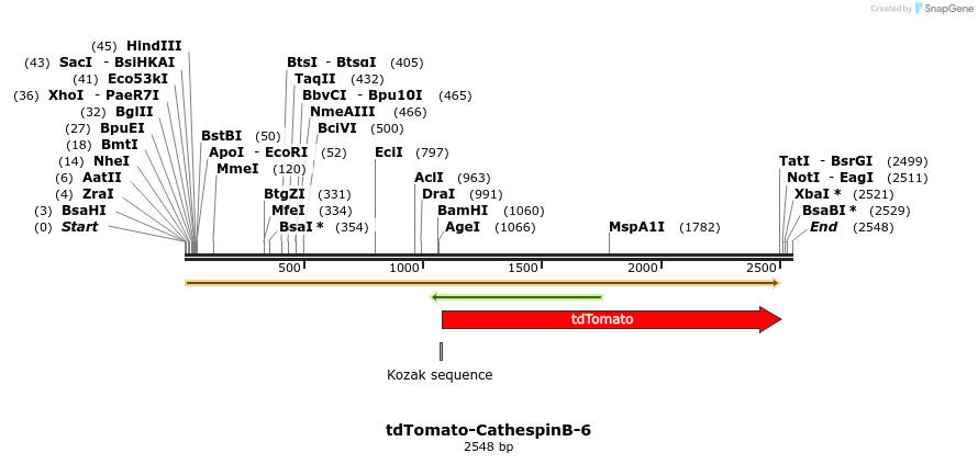 89212_map