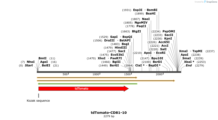 89215_map