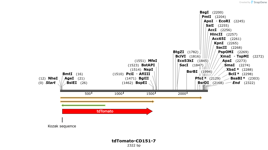 89216_map