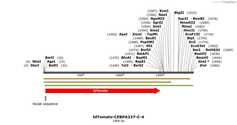 89217_map