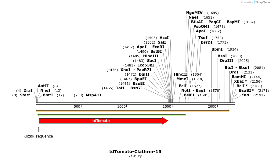 89219_map