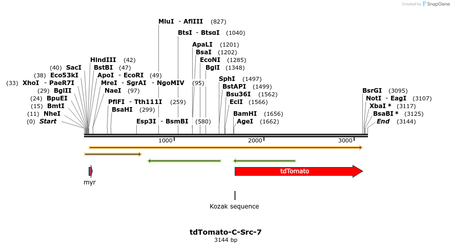 89220_map