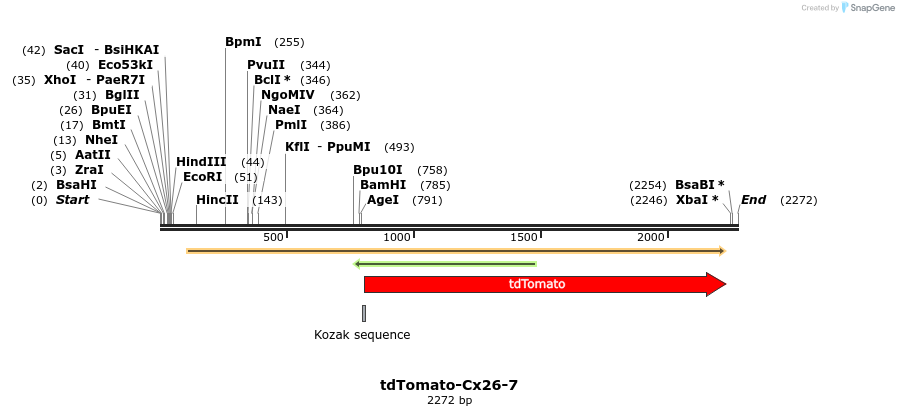 89221_map