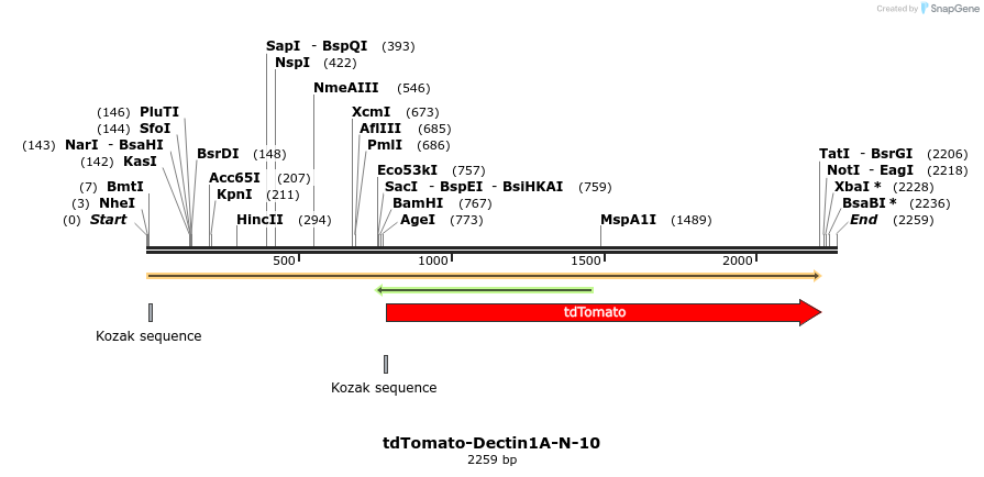 89225_map