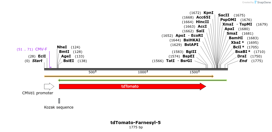 89228_map