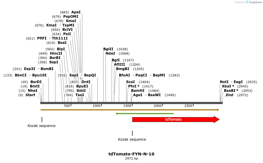 89232_map