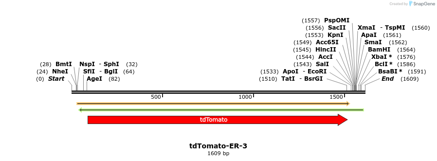 89233_map