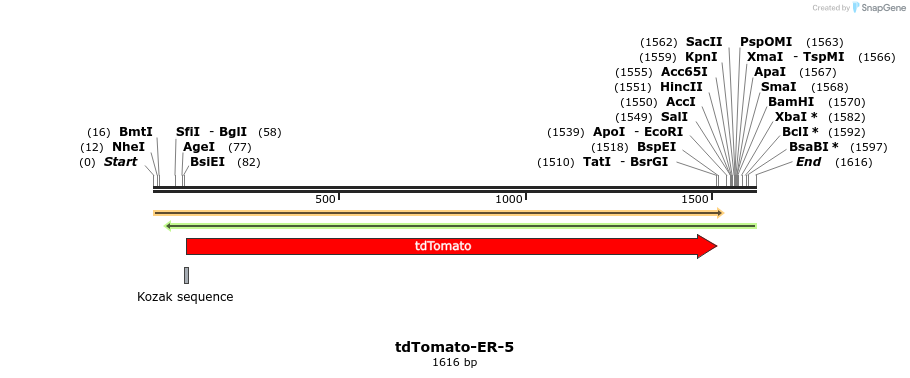 89234_map