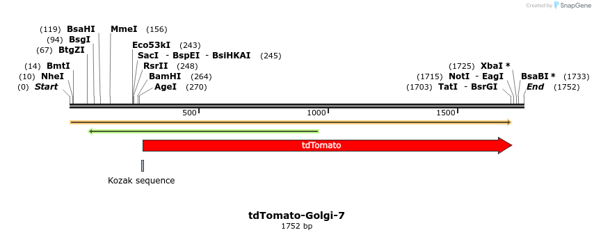 89236_map