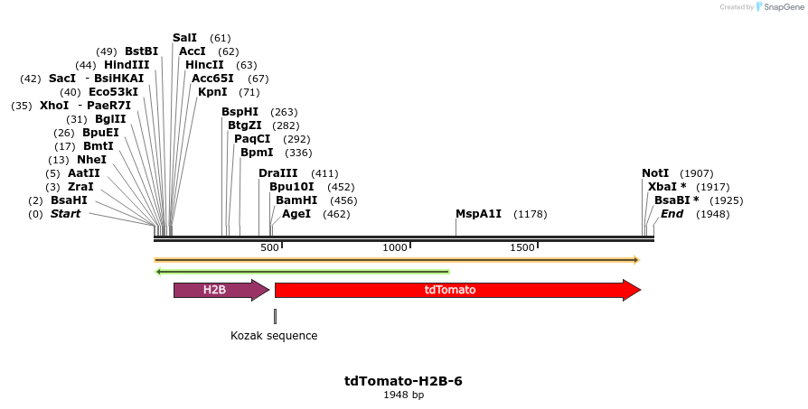 89237_map