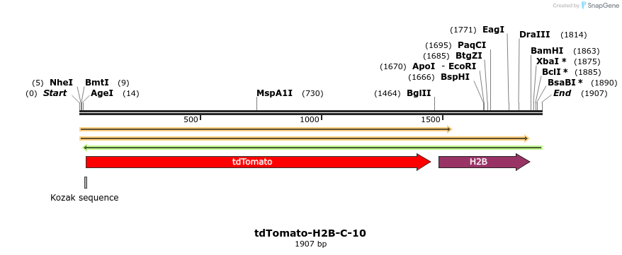 89238_map